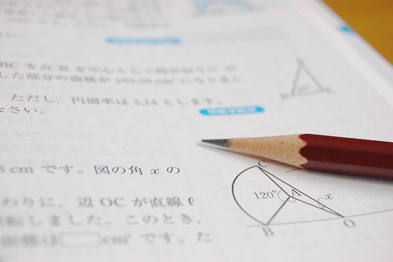 数学 M教材(1-120 解答付き) 数学ZX