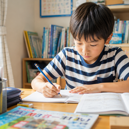 小学生対象夏期講習のお知らせ