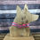 Thumbnail: High Viz 1" Dog Collars