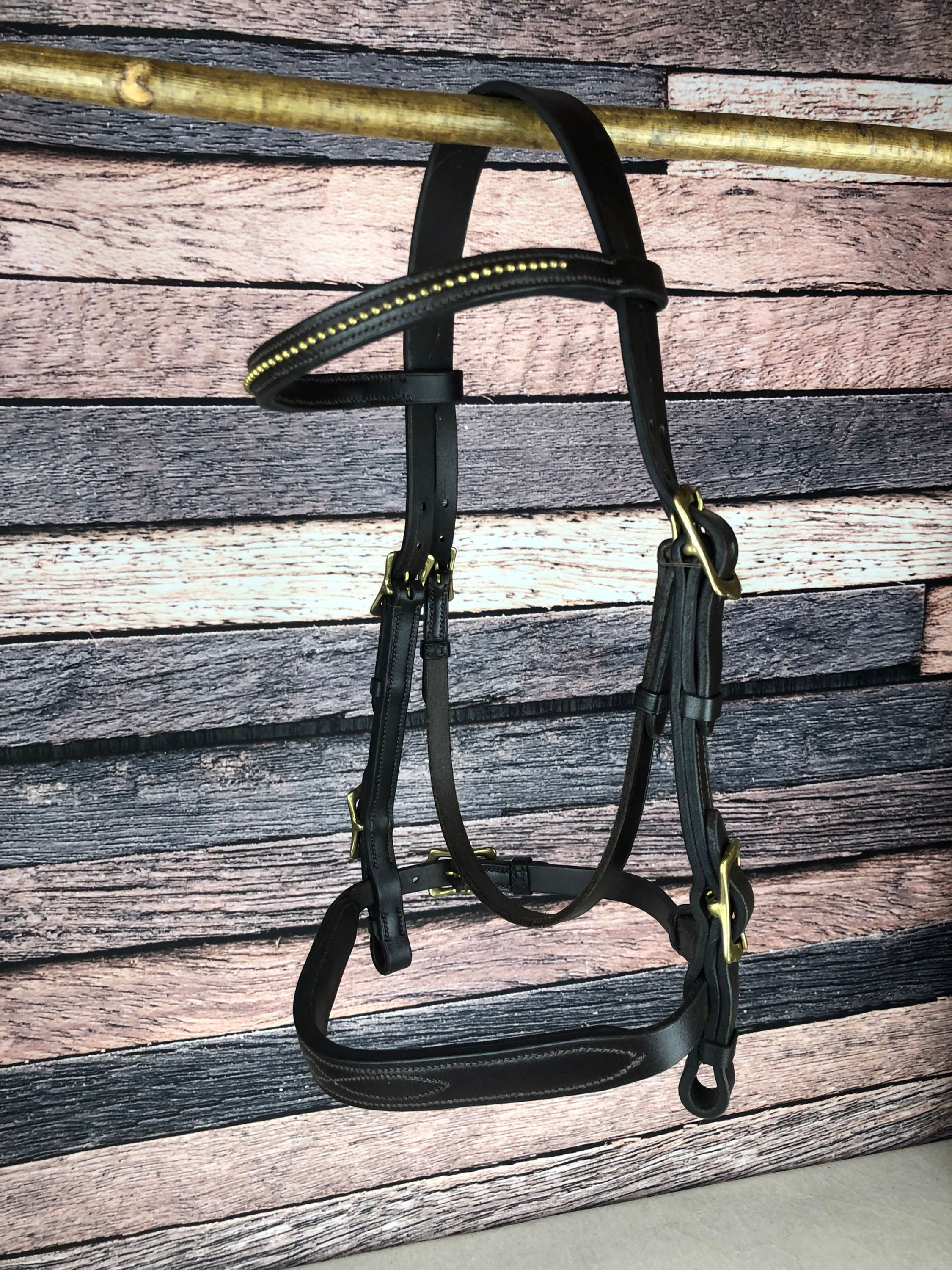 Havannah and brass chain Inhand bridle
