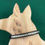 Thumbnail: Clincher Style Dog Collar