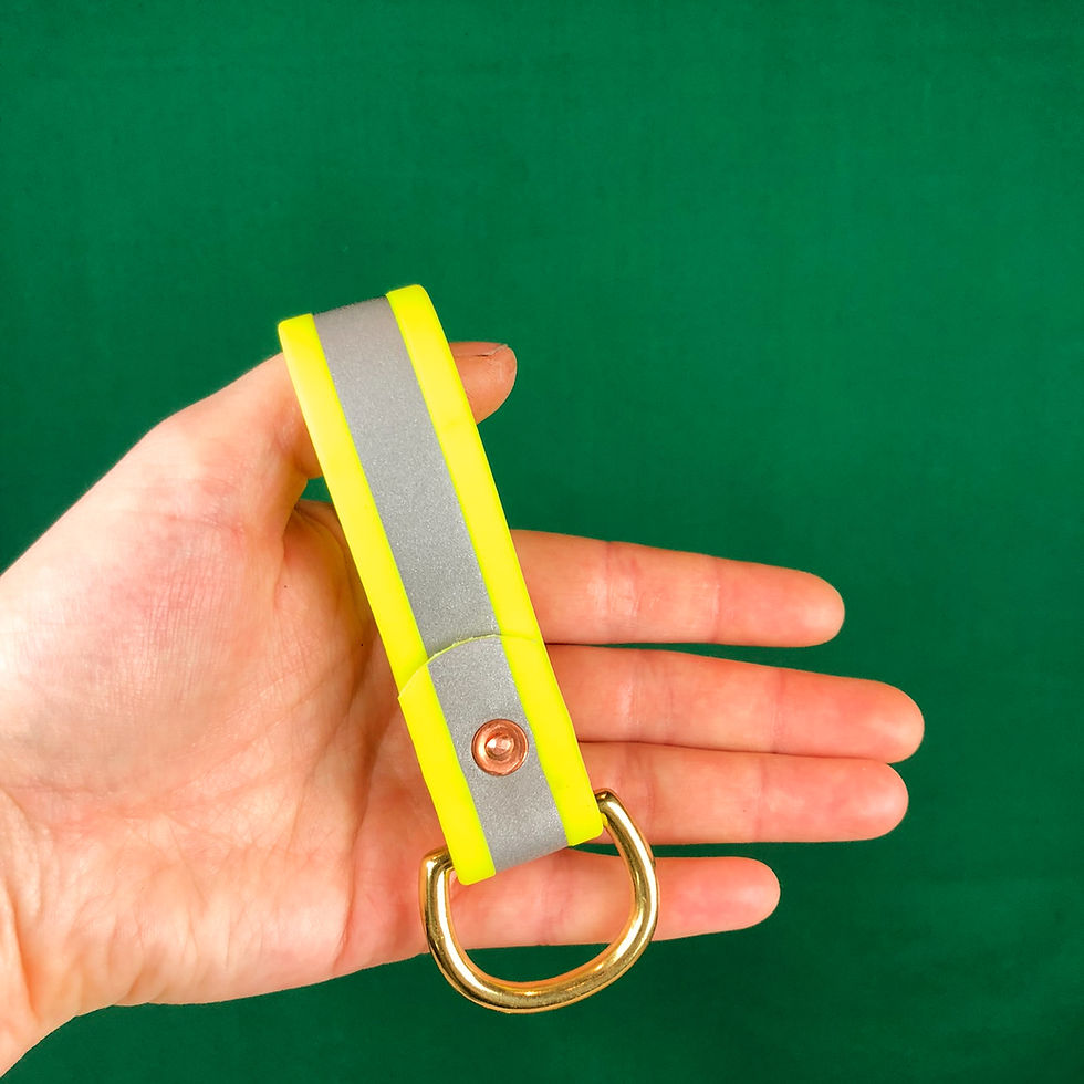 Thumbnail: High Viz Biothane Keyring / Loops