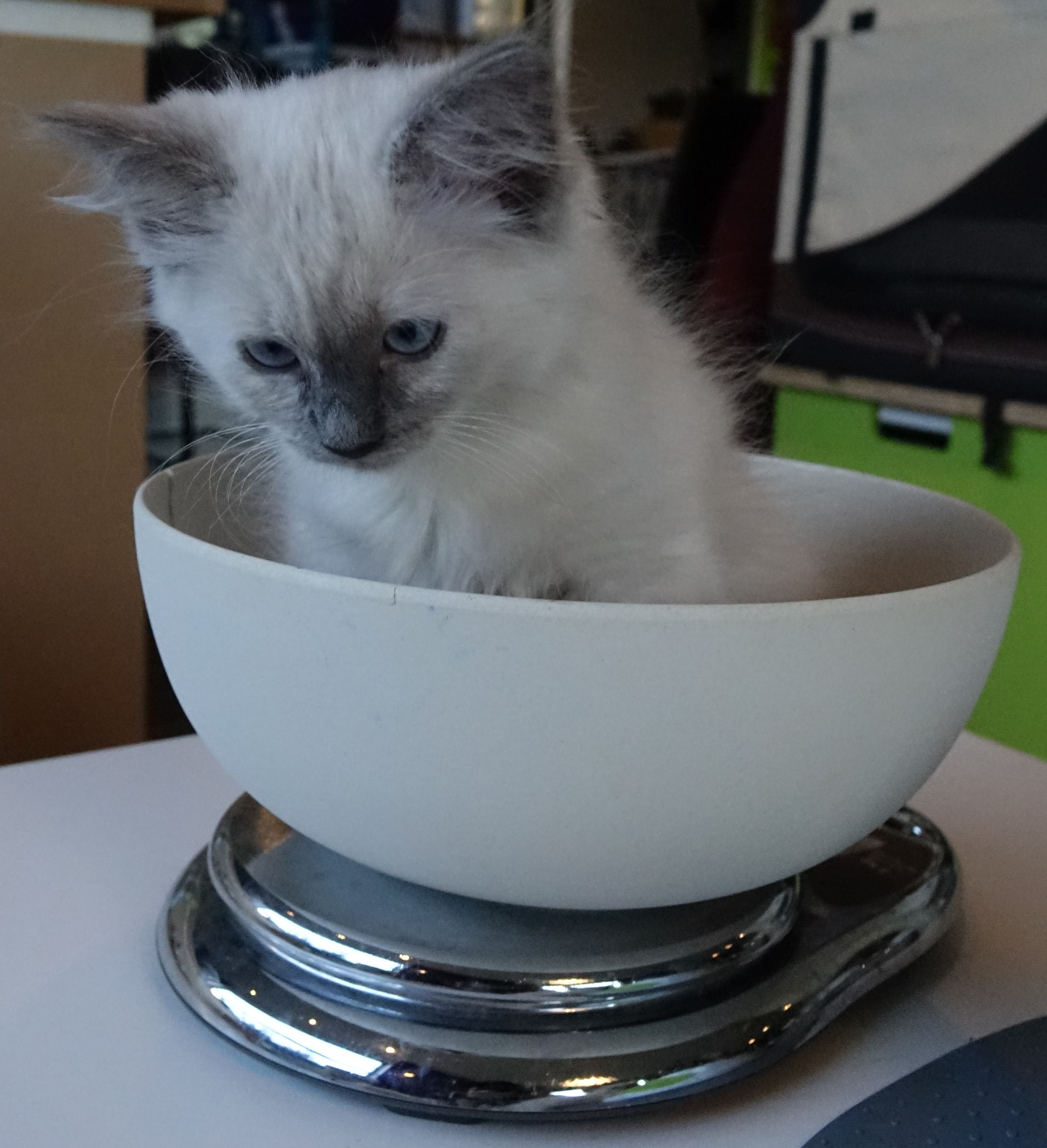 Milou