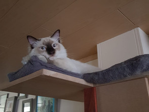 Groetjes van Mystic of Scala