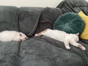 Flo & Pia