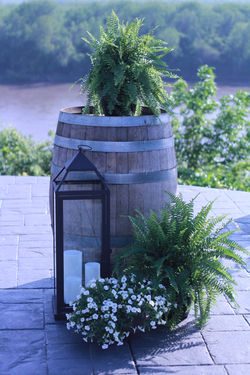 Natural Winery Wedding