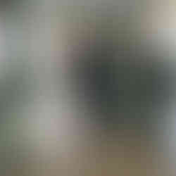 Wedding, Missouri United Methodist Church, The Atrium On Tenth, Weddings, Blue Diamond Events, Wedding Planning, Wedding Planner, Wedding Coordination, Wedding Coordinator, Lisa Wampler, Day-of Coordination, Month of Coordination, Wedding Management, Full Service, Set-up, Luxury, High End, High Touch, Best, Local, Planner, Lisa Wampler, Columbia, MO, Missouri, Timeless, Black and White, Gold, effortless, stress-free, Jennifer Wahlbrink Photography, Diamond Empire Band, Blue Diamond Events Weddings