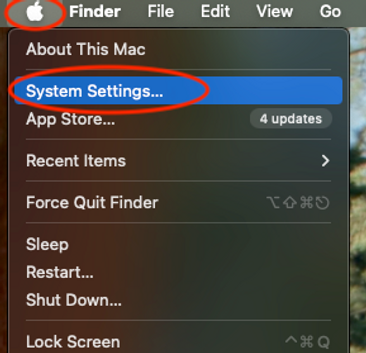 System Settings