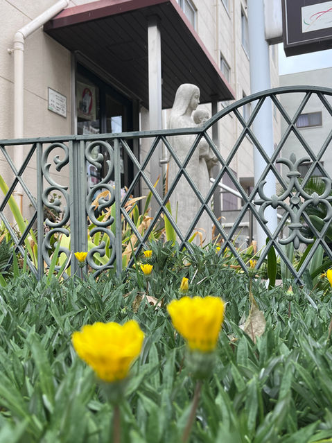 Flower bed in front of Pieta