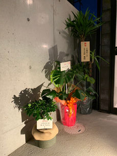 ありがとうございます