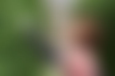 小野のトマト、小野のきゅうり！