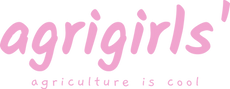 Original on Transparent.png