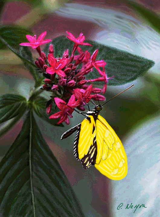 Carlos Neyra - Cali, Colombia, 1955 - Mariposas amarillas Mauricio Babilonia - Técnica mixta 31,5 x 33 cm. Cartulina Tintoreto de 300 gramos - 2006.jpg