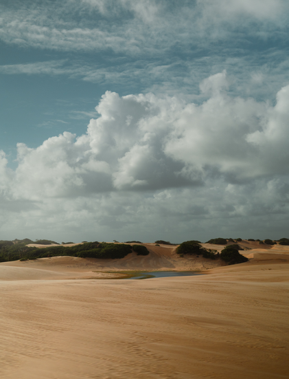 17 . Piaçabuçu . Alagoas