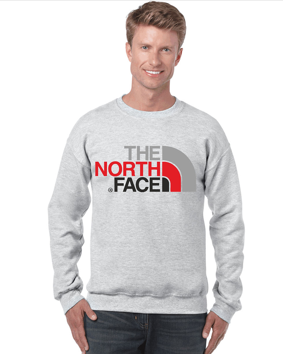 SUDADERA NORTH FACE COLORES GRIS.jpg