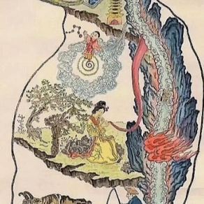 潛意識不是你想像的那樣：催眠、財務信念與改變的真正方法