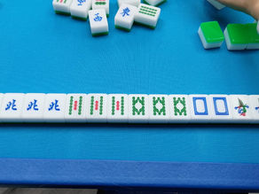 打麻將的興奮與上癮