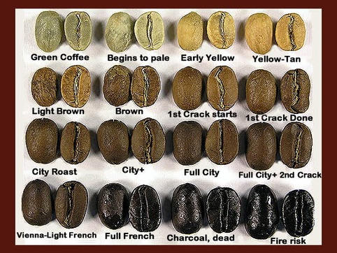 What happens when coffee is roasted ?