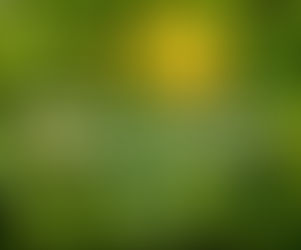 《Lanecrawford 優惠》- 指定時尚及生活類產品低至4折會員購滿$4,000即享額外9折 (優惠至2022年6月30日)