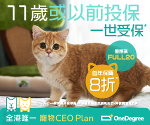 【OneDegree寵物保險優惠】- 投保OneDegree寵物保險 可享首年保費8折 (優惠到2023年9月30日)