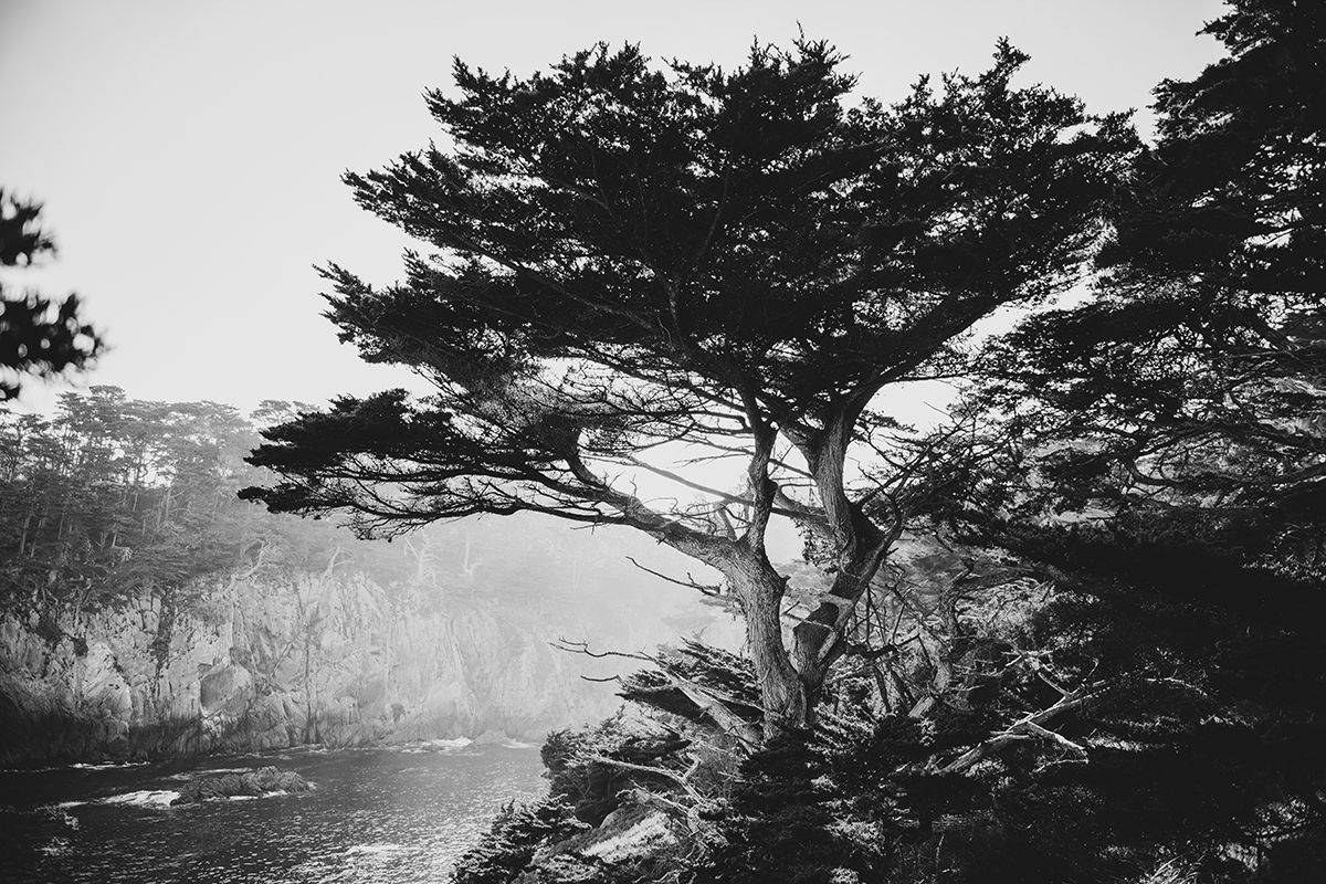 Carmel By The Sea 2