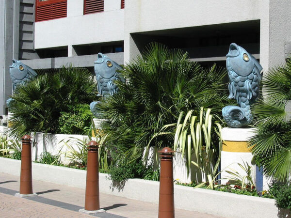Dancing Fish
Sheraton Hotel
San Francisco, CA