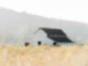 White Barn 1