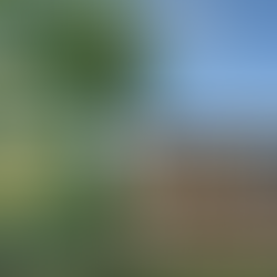 บ้านทาวน์โฮม กับ บ้านทาวน์เฮ้าส์ ต่างกันอย่างไร ข้อดีข้อเสียเป็นอย่างไร และแบบไหนถึงหมาะกับเรา