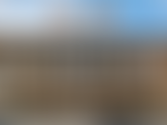 TOWNHOME PET FRIENDLY "SHIZEN พัฒนาการ 32" บ้านที่เป็นมิตรกับสัตว์เลี้ยง