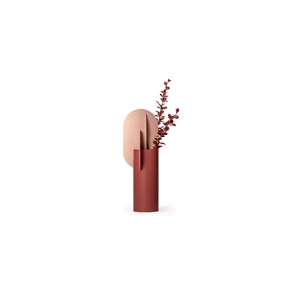 Thumbnail: Ekster Vase CS7 by Noom