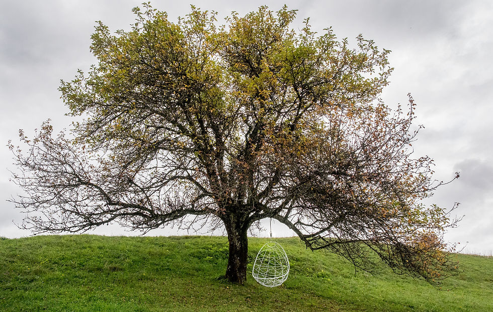 Thumbnail: Nest Egg, Twig Pattern, Hanging Swing Chair by Studio Stirling