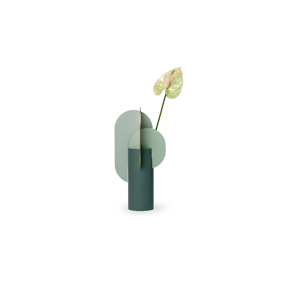 Thumbnail: Ekster Vase CS9 by Noom