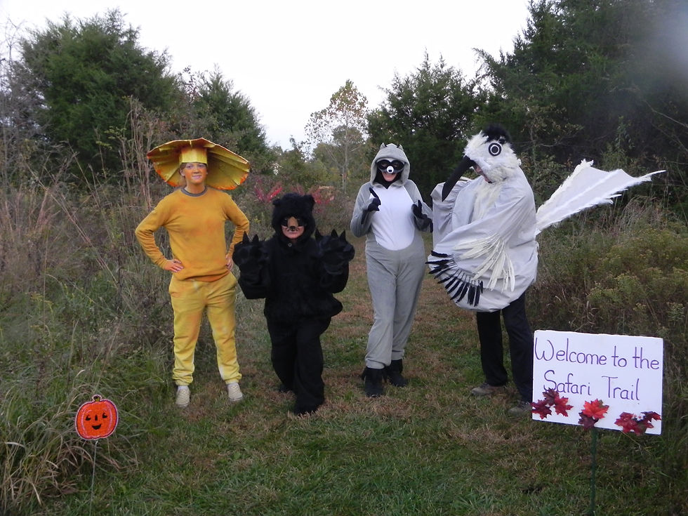 Halloween Safari