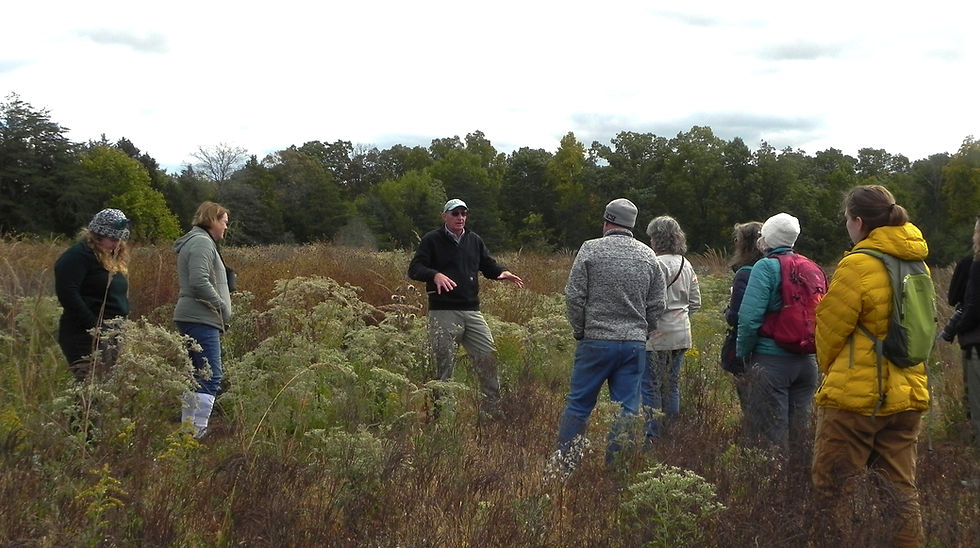 Restoring the Wild: Summer Savanna Stroll