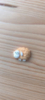 Miniature : Pin's Mout'mout'