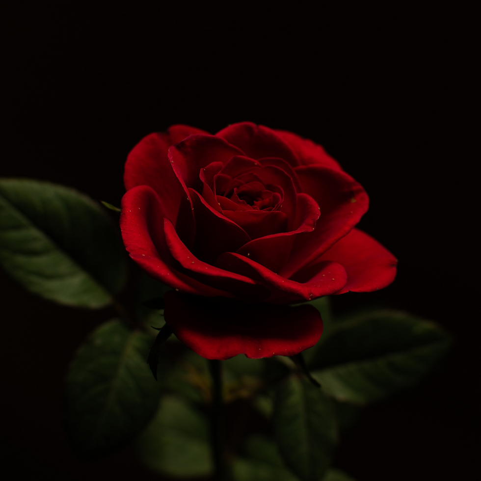 Why Blood is a Big Deal for Fertility: A Chinese Medicine Chat