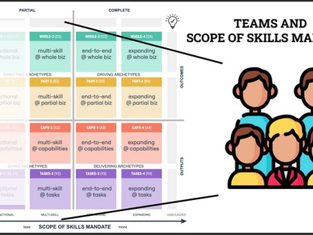 Teams and Scope of Skills Mandate