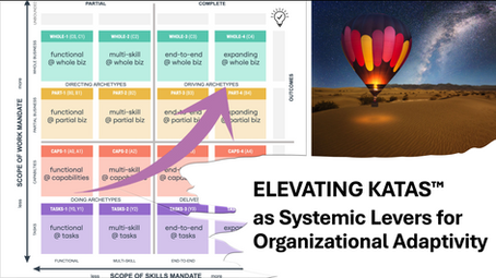 Elevating Katas™ as Systemic Levers for Organizational Agility