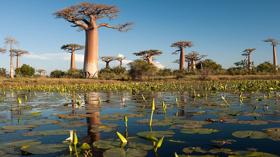 Madagascar, A Unique Island Nation