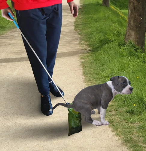 【popo】 pops-kettle-korn-panda.png?v=