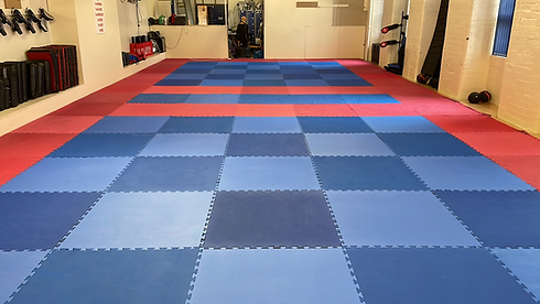dojo 3.png