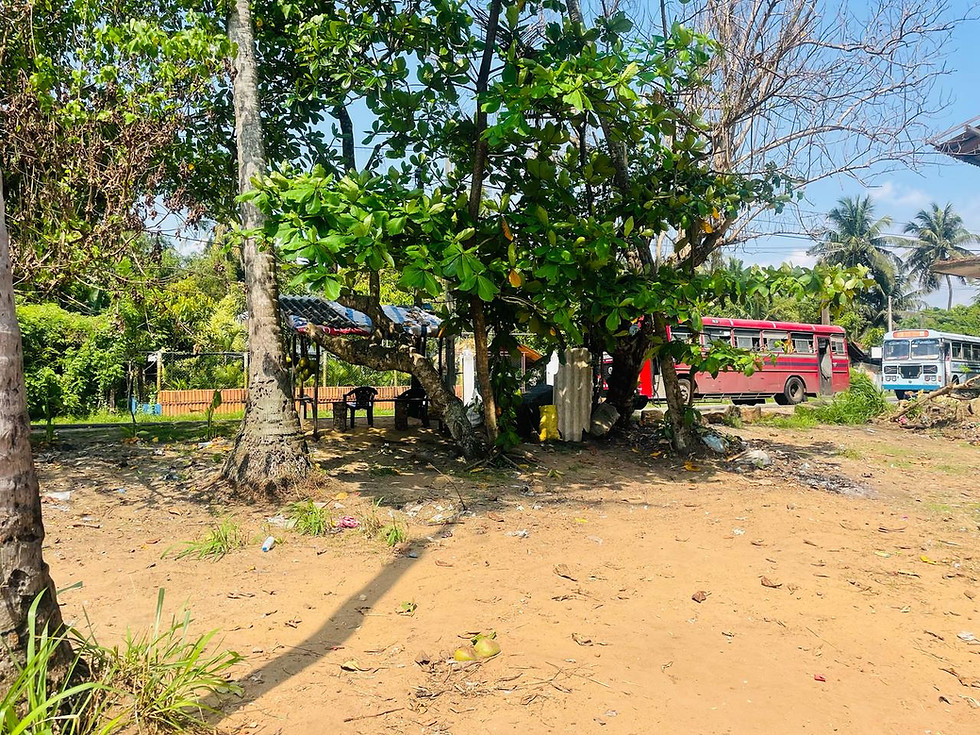 Thumbnail: Beachfront land by the mainroad in Rathgama