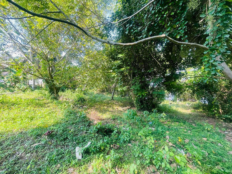 Thumbnail: Lagoon Front land