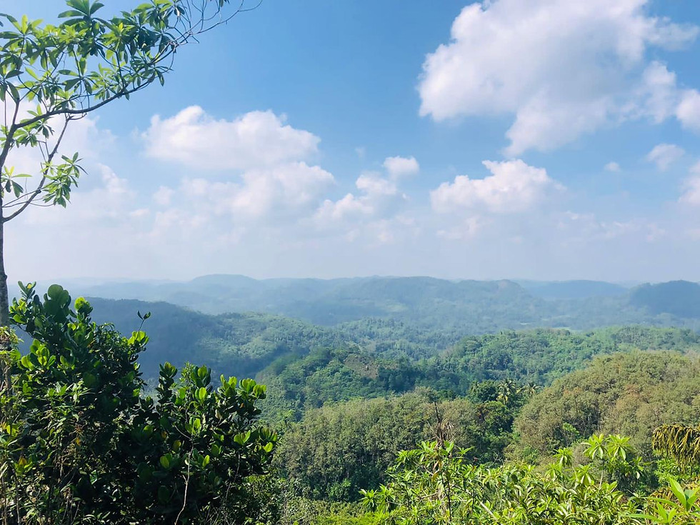 Thumbnail: Land in Maththaka, Pitigala, Elpitiya