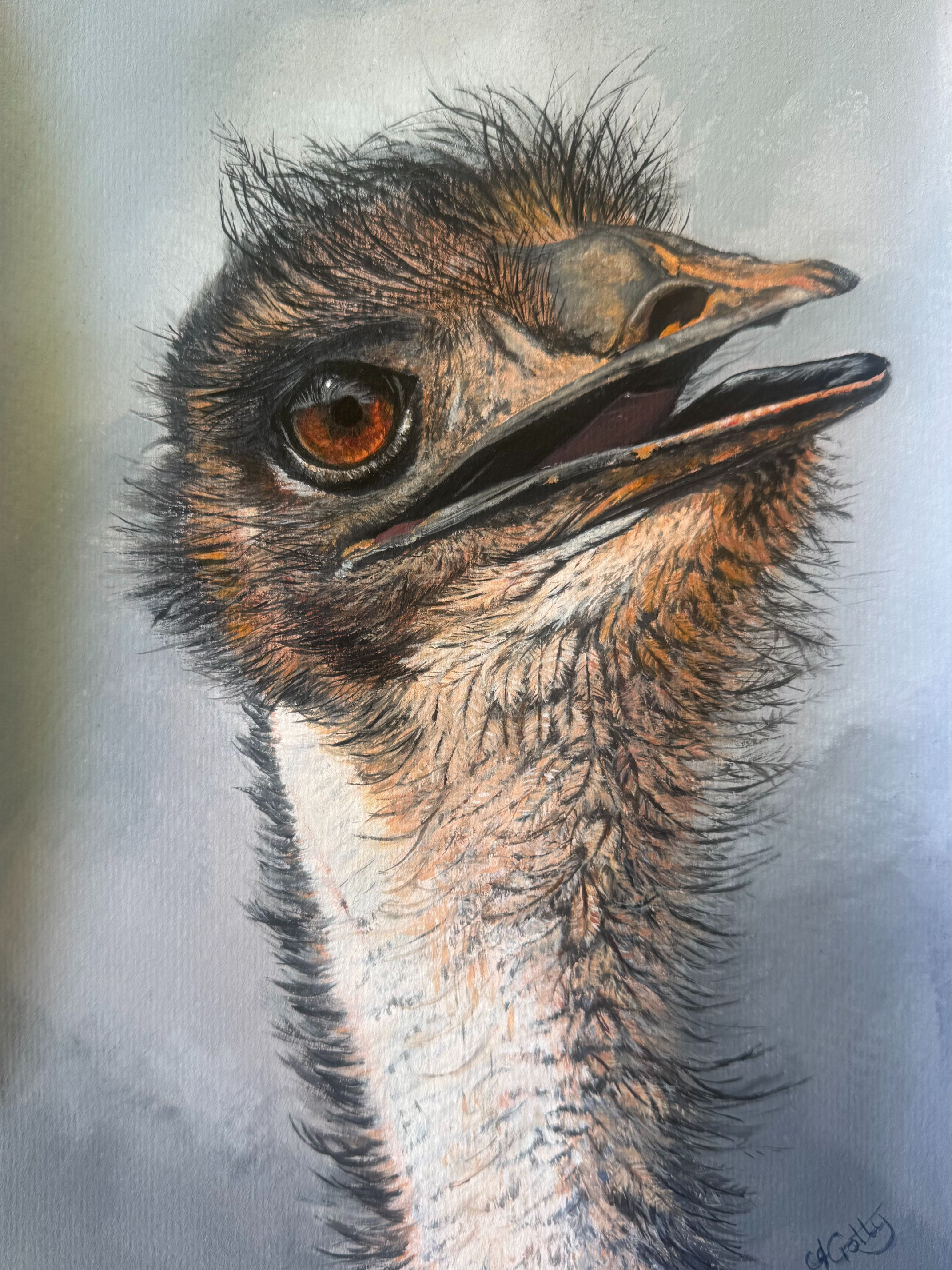Emu (Acrylic) 