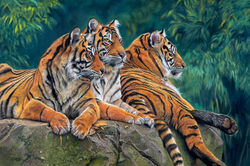 Among Friends 3 Tigers