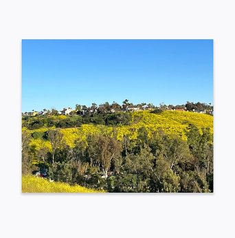 Yellow Canvas Photo Wrap 16 x 20