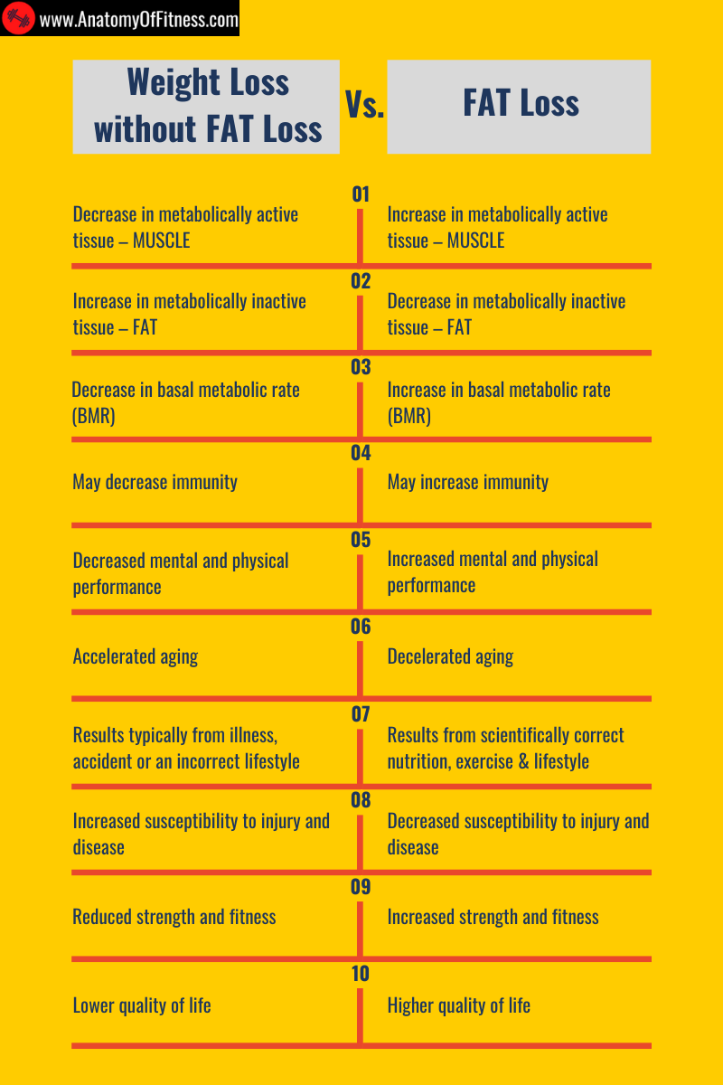Difference between WEIGHT LOSS & FAT LOSS.