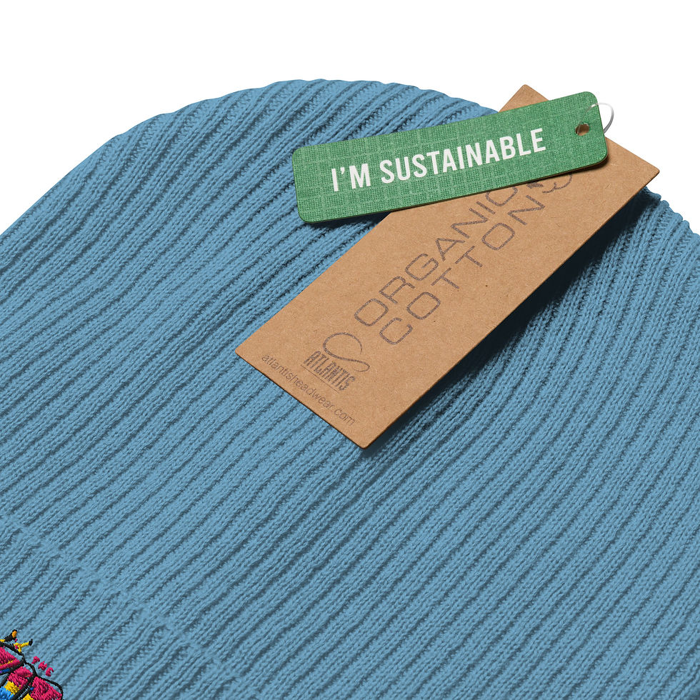 Thumbnail: Vibe Organic ribbed beanie