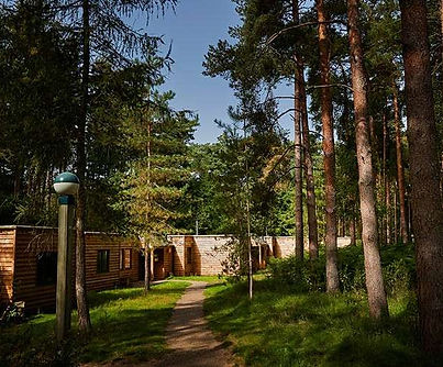image.exterior-of-a-woodland-lodge.1773844648103.jpg